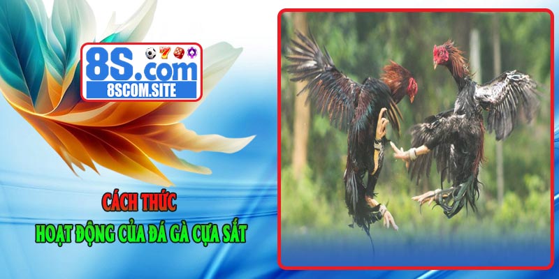 Cách Thức Hoạt Động của Đá Gà Cựa Sắt