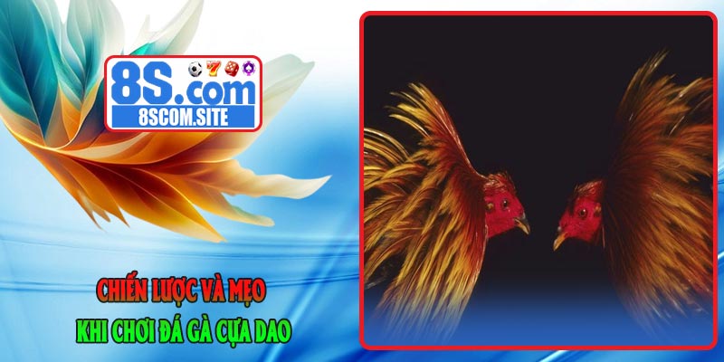 Chiến Lược và Mẹo Khi Chơi Đá Gà Cựa Dao