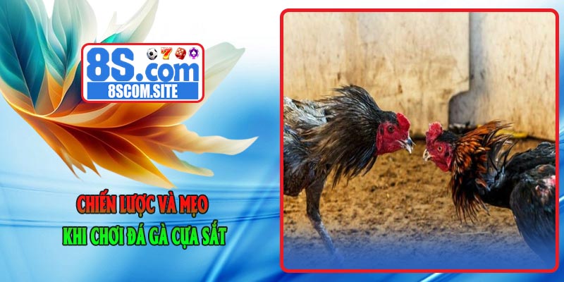 Chiến Lược và Mẹo Khi Chơi Đá Gà Cựa Sắt