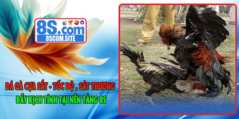 Đá Gà Cựa Dao - Tốc Độ , Sát Thương Đầy Kịch Tính Tại Nền Tảng 8S