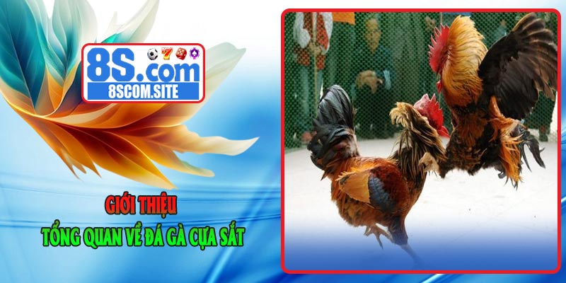 Giới thiệu tổng quan về Đá Gà Cựa Sắt