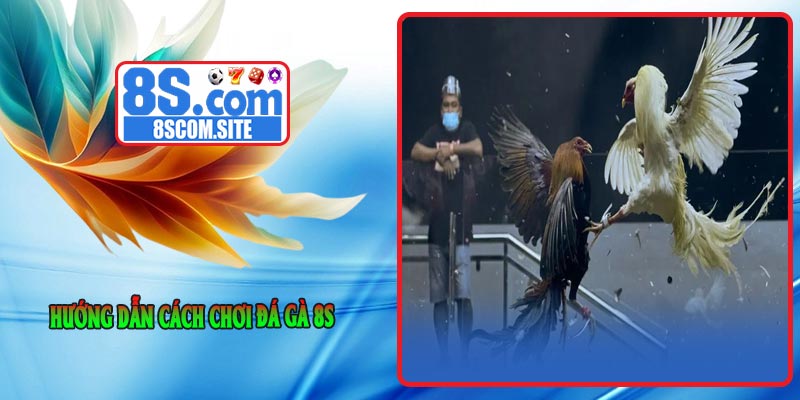Hướng dẫn cách chơi Đá Gà 8S