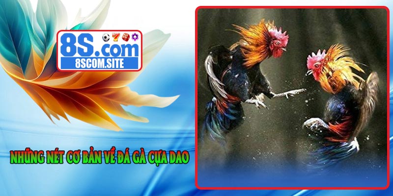 Những nét cơ bản về Đá Gà Cựa Dao