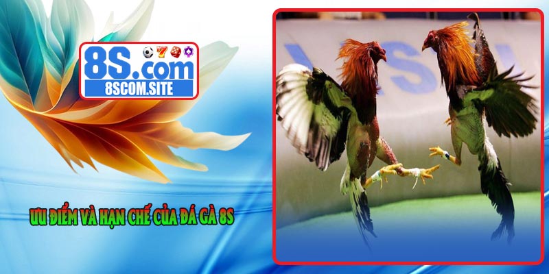 Ưu điểm và hạn chế của Đá Gà 8S