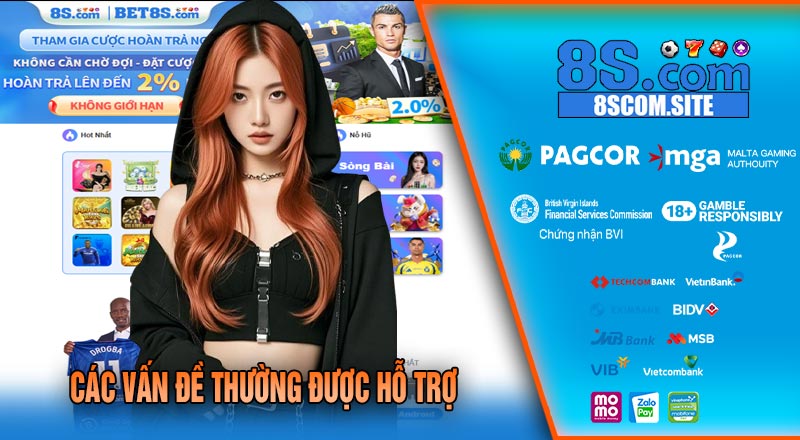 Các Vấn Đề Thường Được Hỗ Trợ