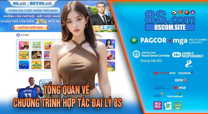 Tổng Quan Về Chương Trình Hợp Tác Đại Lý 8S