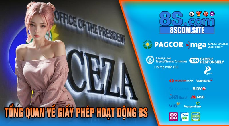 Tổng Quan Về Giấy Phép Hoạt Động 8S