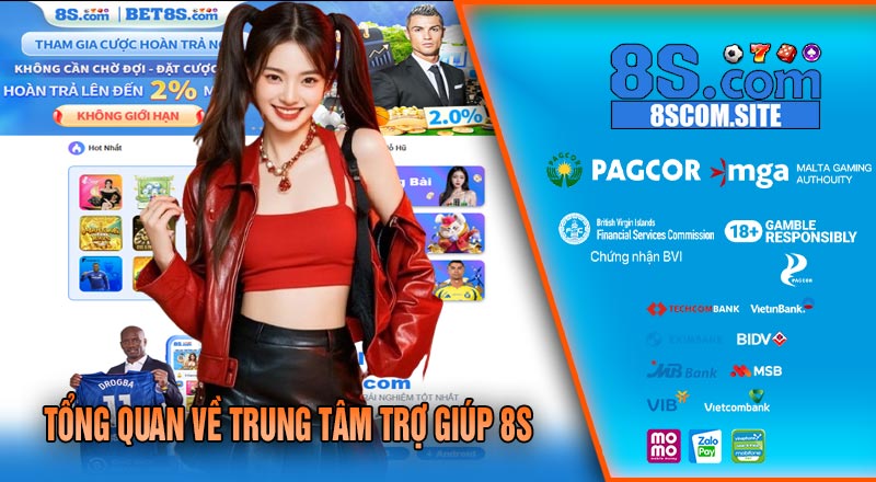 Tổng Quan Về Trung Tâm Trợ Giúp 8S